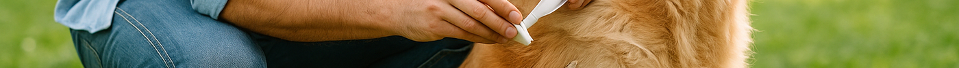 Antiparassitari cane e gatto: guida completa 2025