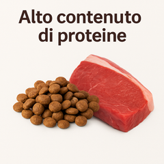 Collection image for: Alto contenuto di proteine