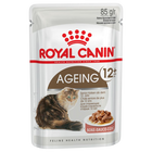 Royal Canin Ageing 12+ (85gX12pz)