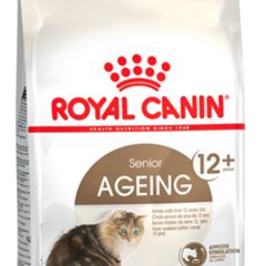 Royal Canin Ageing 12+ Cat