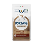 Forza10 Intestinal fase 2 4kg