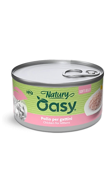 Oasy Kitten (150gX24pz)