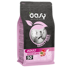 Oasy Grain free 12kg pork