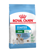 royal canin babydog starter 