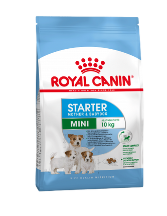 royal canin babydog starter 