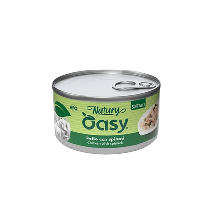 Oasy Cat (150gX24pz)