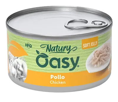 Oasy Cat (150gX24pz)