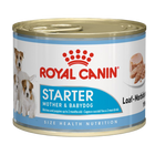royal canin starter babydog 195g