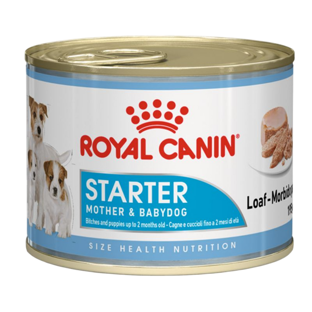 royal canin starter babydog 195g