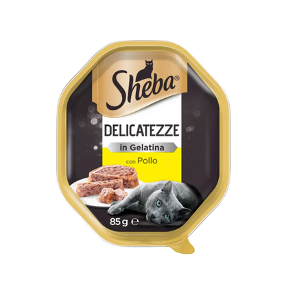 Sheba Delicatezze in Gelatina (85gX22pz)