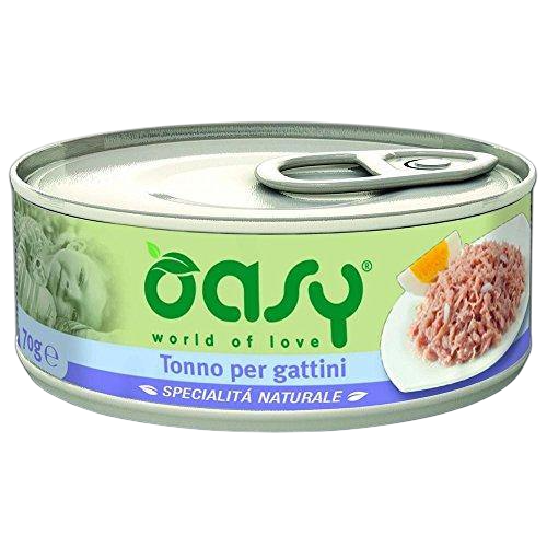 Oasy Kitten (70gX24pz)