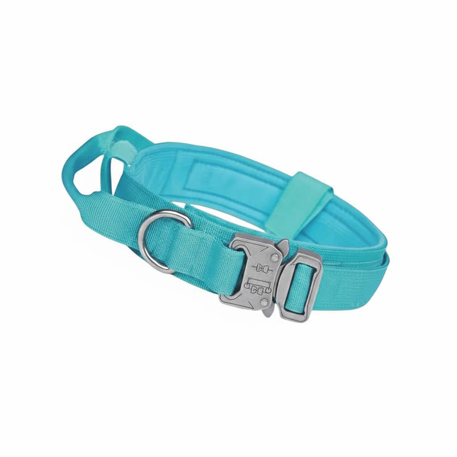 COLLARE CANE S AZZURRO RESISTENTE 