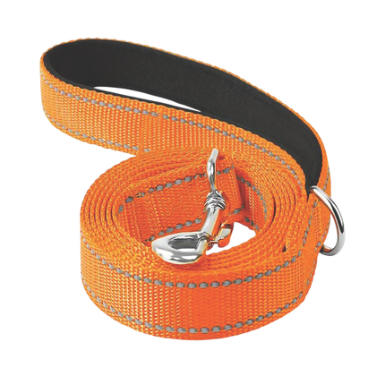 Guinzaglio cane lungo resistente per passeggiate quotidiane Arancione