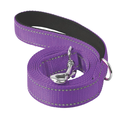 Guinzaglio cane lungo resistente per passeggiate quotidiane Viola