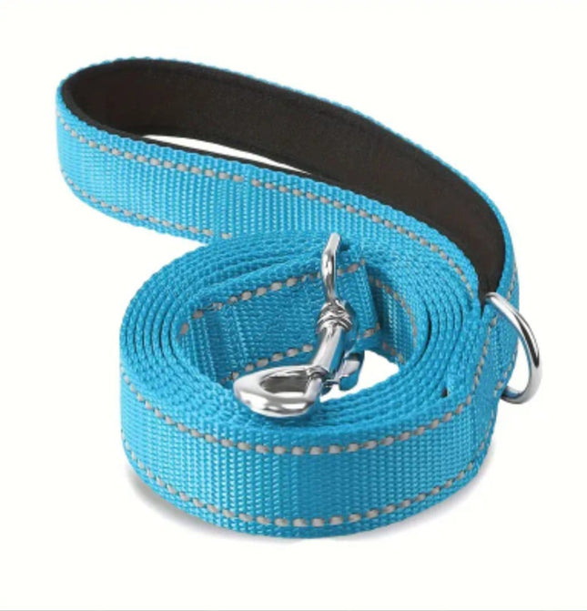 Guinzaglio cane lungo resistente per passeggiate quotidiane  Blu