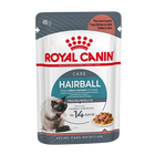 Royal Canin Hairball Care (85gX12pz)