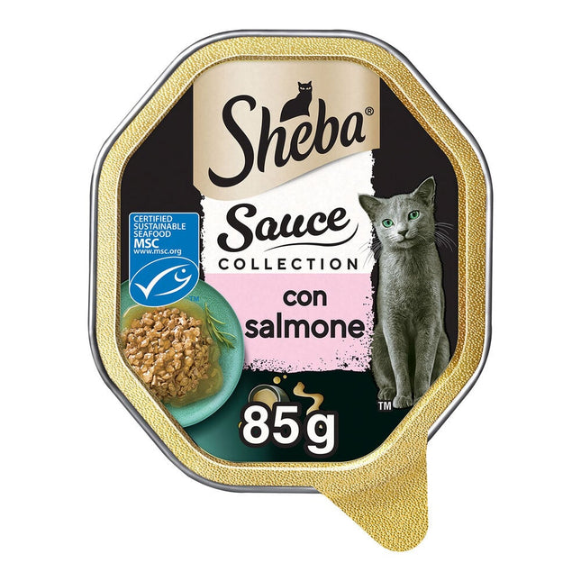 Sheba Sauce Collection Salmone