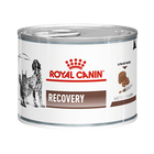 Royal Canin Recovery (195gX12pz)